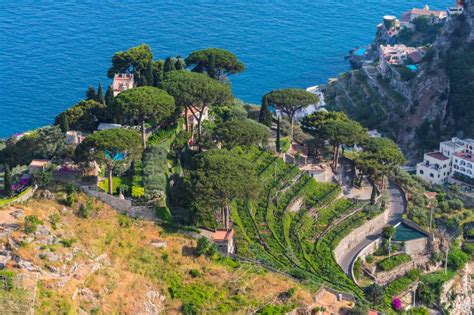 Fiano Wine: A Comprehensive Guide to Its Origins and Flavor .